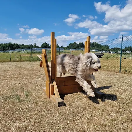 Ostseeferienpark Walkyrien - Lotse 05 펜션